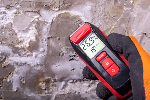 Best Crawl Space Mold Removal  in Schulenburg, TX