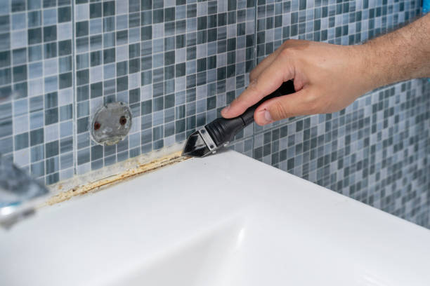 Best Mold Testing and Removal  in Schulenburg, TX