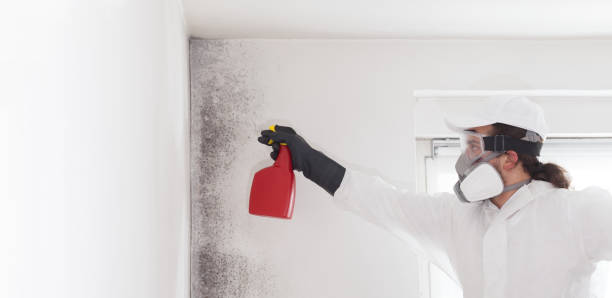 Best Mold Testing  in Schulenburg, TX