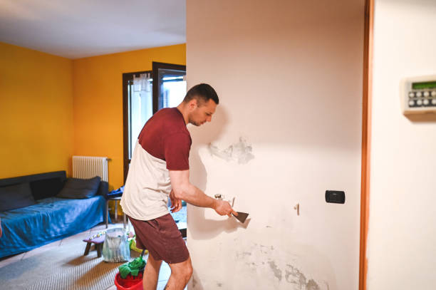 Best Professional Mold Removal  in Schulenburg, TX